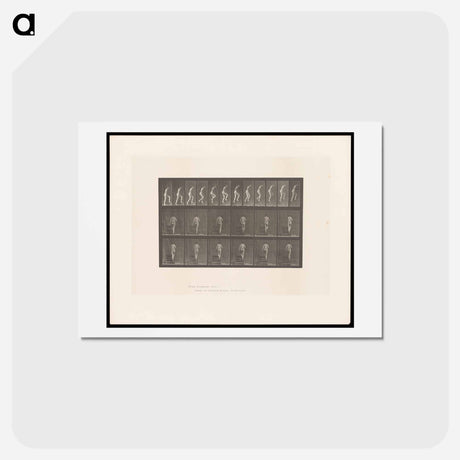 アートポストカード-Nude Descending a Staircase
 - エドワード マイブリッジ Postcard.