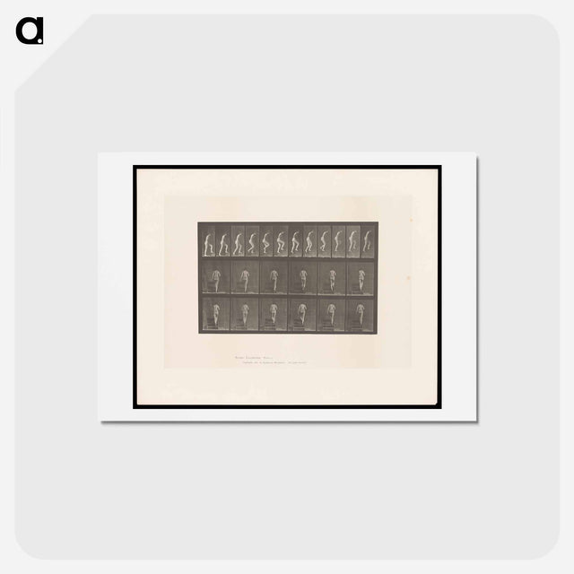 アートポストカード-Nude Descending a Staircase
 - エドワード マイブリッジ Postcard.