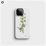 Scotch Rose - Pierre Joseph Redouté Phone Case.