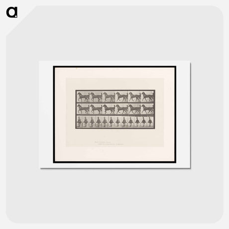 アートポストカード-Sulky Driver
 - エドワード マイブリッジ Postcard.