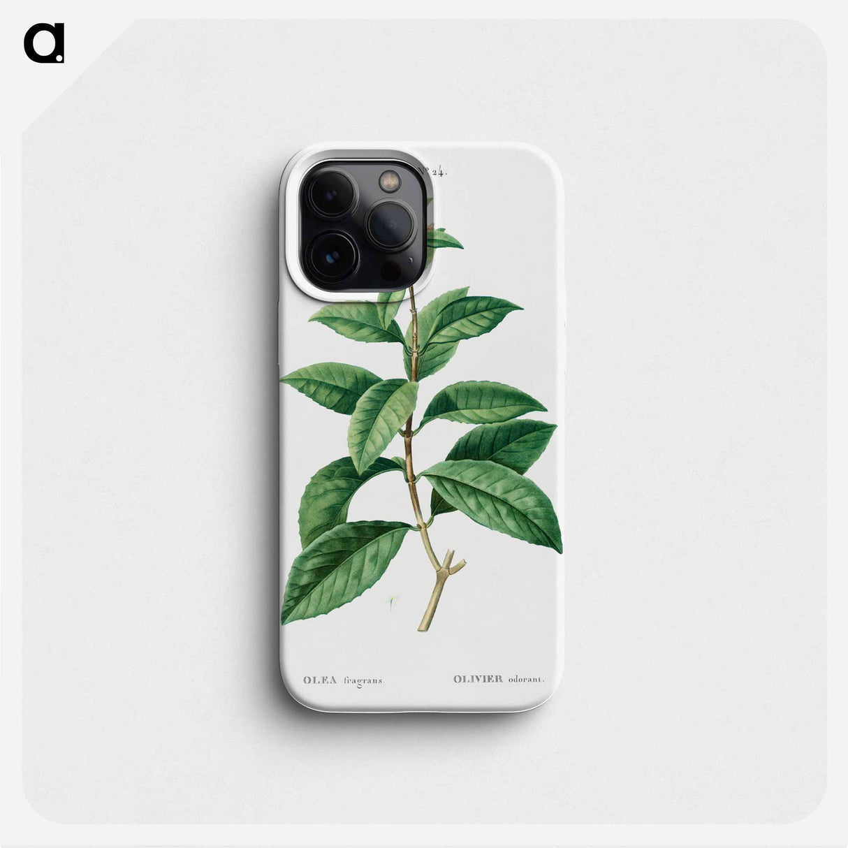 Sweet osmanthus - Pierre Joseph Redouté Phone Case.