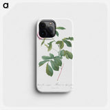 Variegated Alpine Rose - Pierre Joseph Redouté Phone Case.