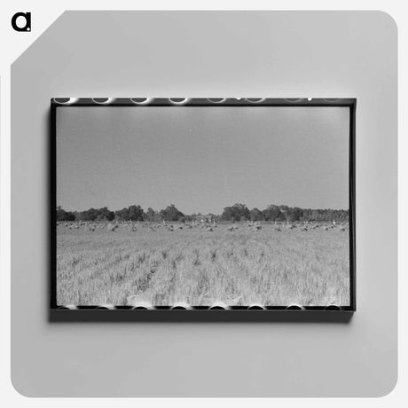 アートパネル-Barn on Hainline Farm
 - ラッセル リー Canvas.