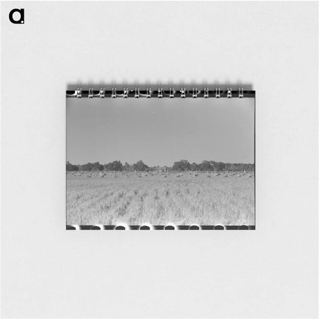アートメモ帳-Barn on Hainline Farm
 - ラッセル リー Memo.