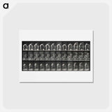 アートポストカード-Woman Washing
 - エドワード マイブリッジ Postcard.