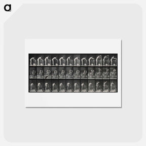 アートポストカード-Woman Washing
 - エドワード マイブリッジ Postcard.