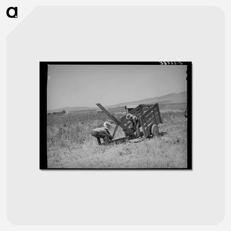 アートポストカード-Unloading the FSA Ditcher
 - ラッセル リー Postcard.