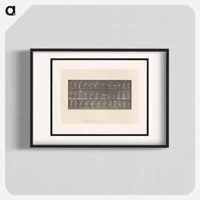 アートポスター-Placing the Rug
 - エドワード マイブリッジ Poster.