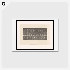 アートポストカード-Placing the Rug
 - エドワード マイブリッジ Postcard.