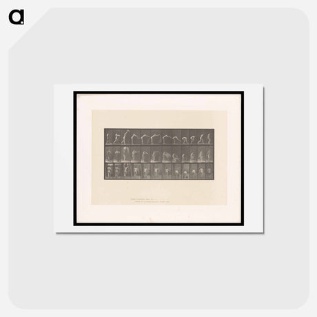 アートポストカード-Placing the Rug
 - エドワード マイブリッジ Postcard.