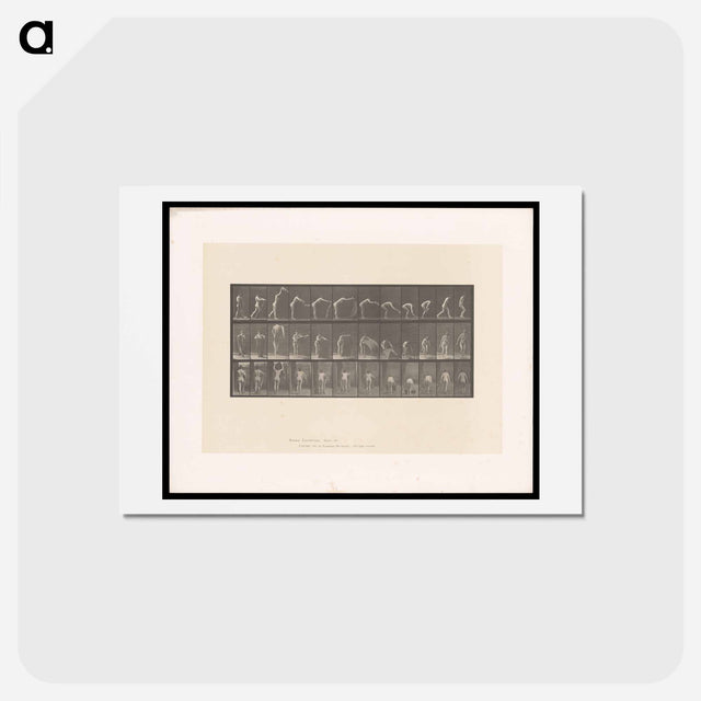 アートポストカード-Placing the Rug
 - エドワード マイブリッジ Postcard.
