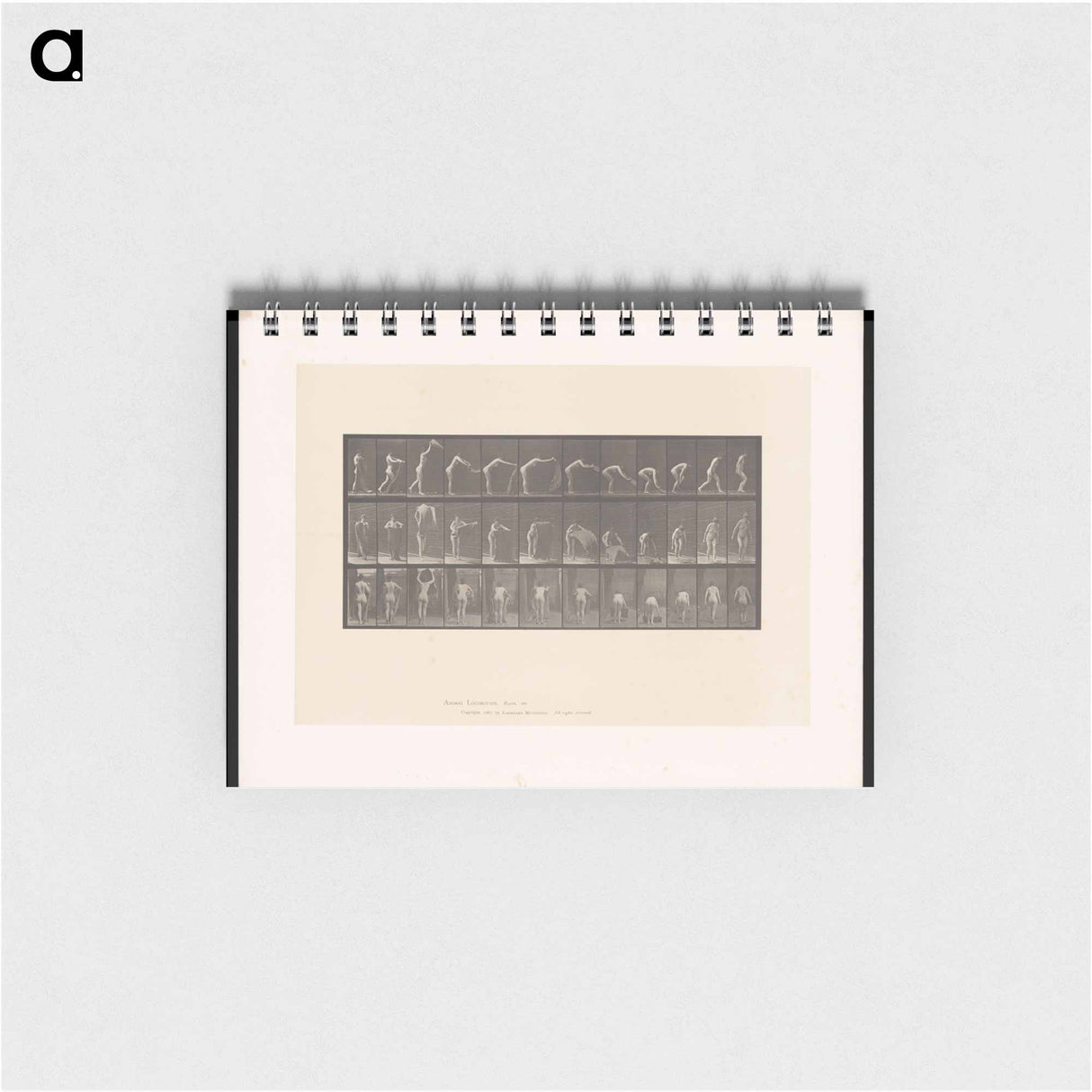 アートメモ帳-Placing the Rug
 - エドワード マイブリッジ Memo.