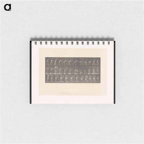アートメモ帳-Placing the Rug
 - エドワード マイブリッジ Memo.