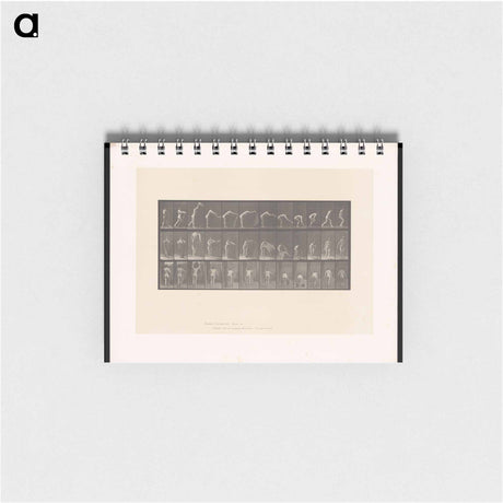 アートメモ帳-Placing the Rug
 - エドワード マイブリッジ Memo.