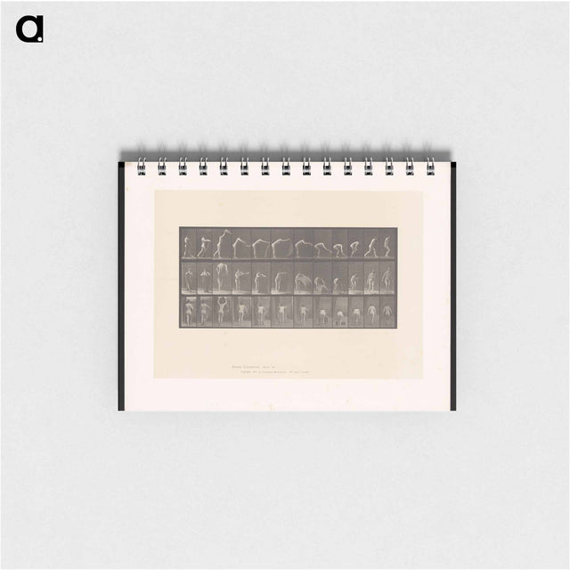 アートメモ帳-Placing the Rug
 - エドワード マイブリッジ Memo.
