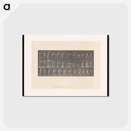 アートポストカード-Placing the Rug
 - エドワード マイブリッジ Postcard.