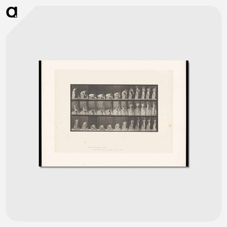 アートポストカード-Woman and Child
 - エドワード マイブリッジ Postcard.