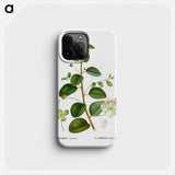 Caper (Capparis Spinosa) - Pierre Joseph Redouté Phone Case.