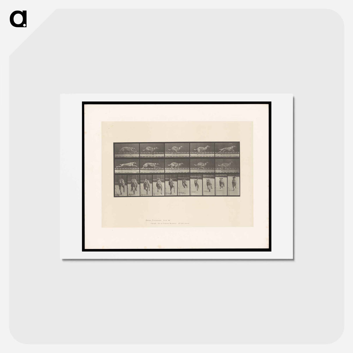 アートポストカード-Running Dog
 - エドワード マイブリッジ Postcard.