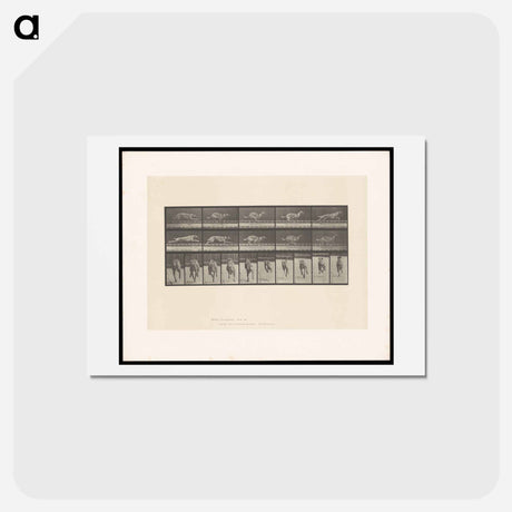 アートポストカード-Running Dog
 - エドワード マイブリッジ Postcard.