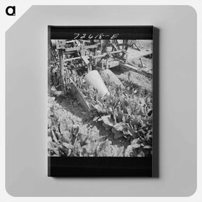 アートパネル-Omaha Sawmill
 - ラッセル リー Canvas.