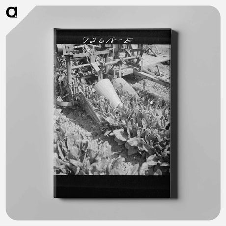 アートパネル-Omaha Sawmill
 - ラッセル リー Canvas.