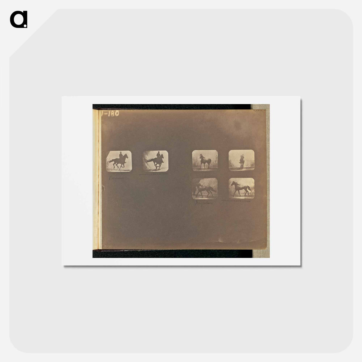 アートポストカード-Running. Irregular
 - エドワード マイブリッジ Postcard.