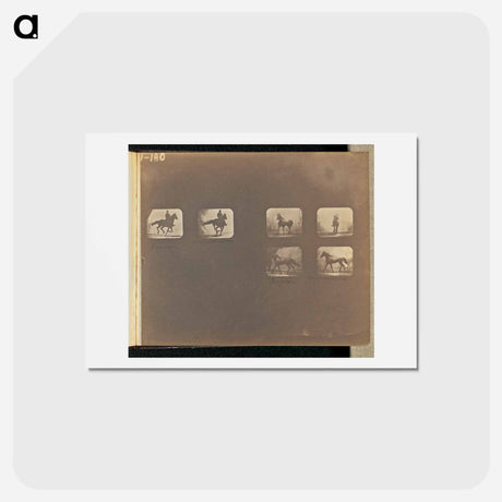 アートポストカード-Running. Irregular
 - エドワード マイブリッジ Postcard.