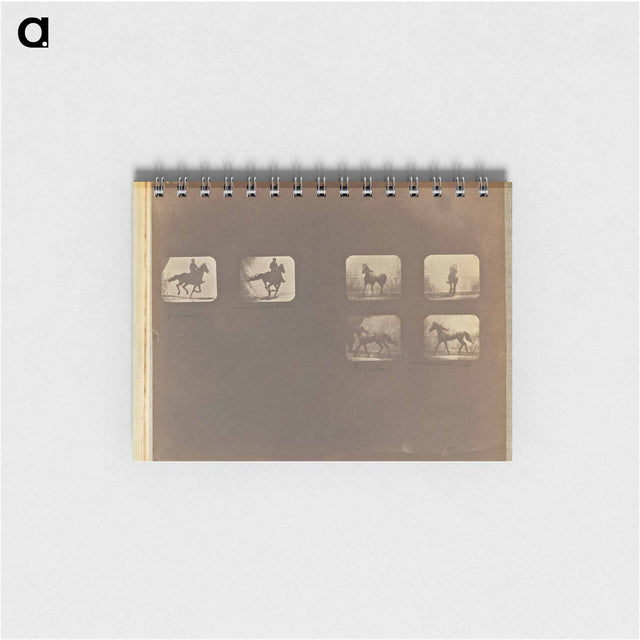 アートメモ帳-Running. Irregular
 - エドワード マイブリッジ Memo.