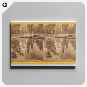 アートパネル-Reflection of Tutokanula in the Merced
 - エドワード マイブリッジ Canvas.