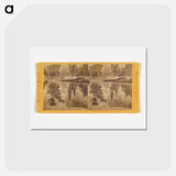 アートポストカード-Reflection of Tutokanula in the Merced
 - エドワード マイブリッジ Postcard.