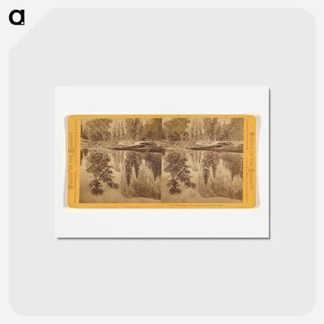アートポストカード-Reflection of Tutokanula in the Merced
 - エドワード マイブリッジ Postcard.