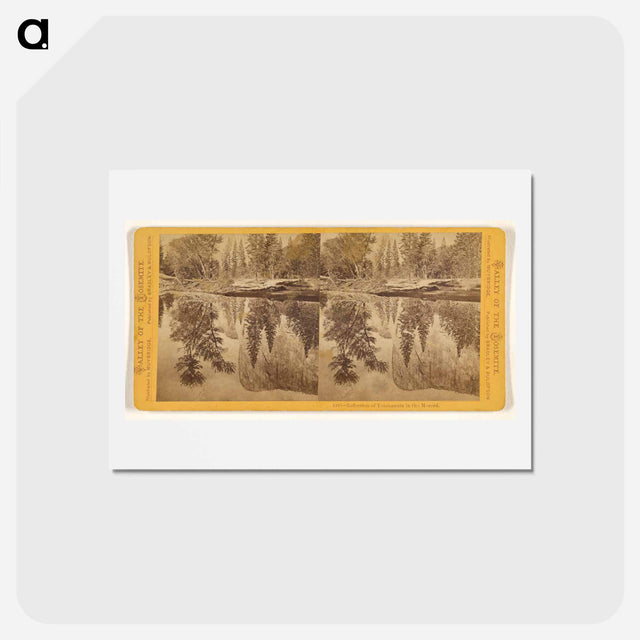アートポストカード-Reflection of Tutokanula in the Merced
 - エドワード マイブリッジ Postcard.