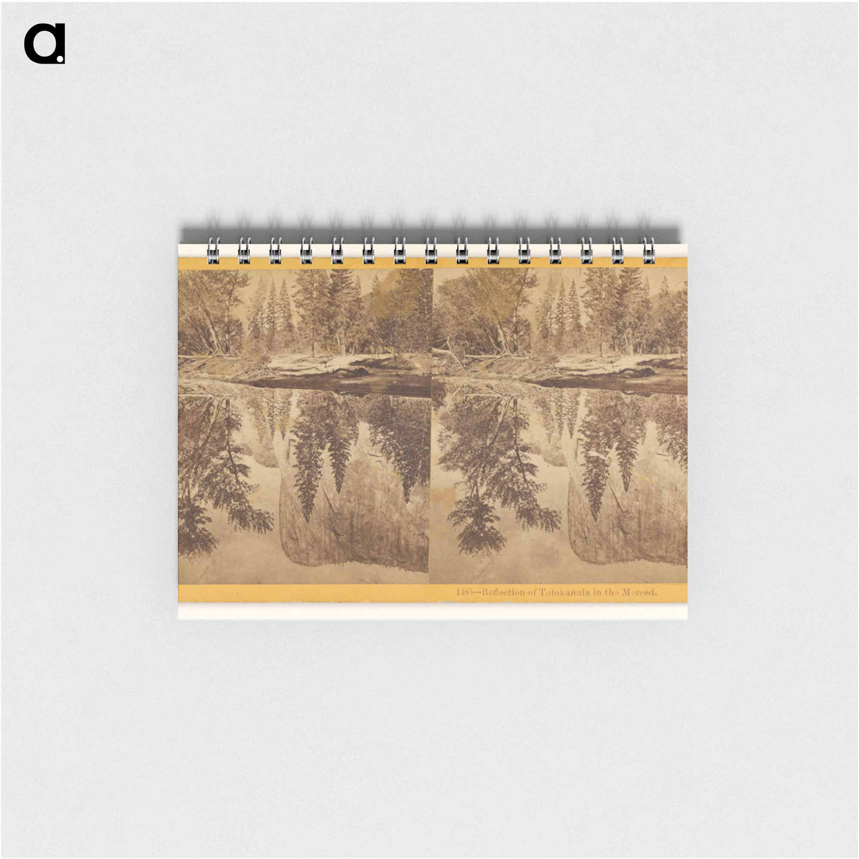 アートメモ帳-Reflection of Tutokanula in the Merced
 - エドワード マイブリッジ Memo.