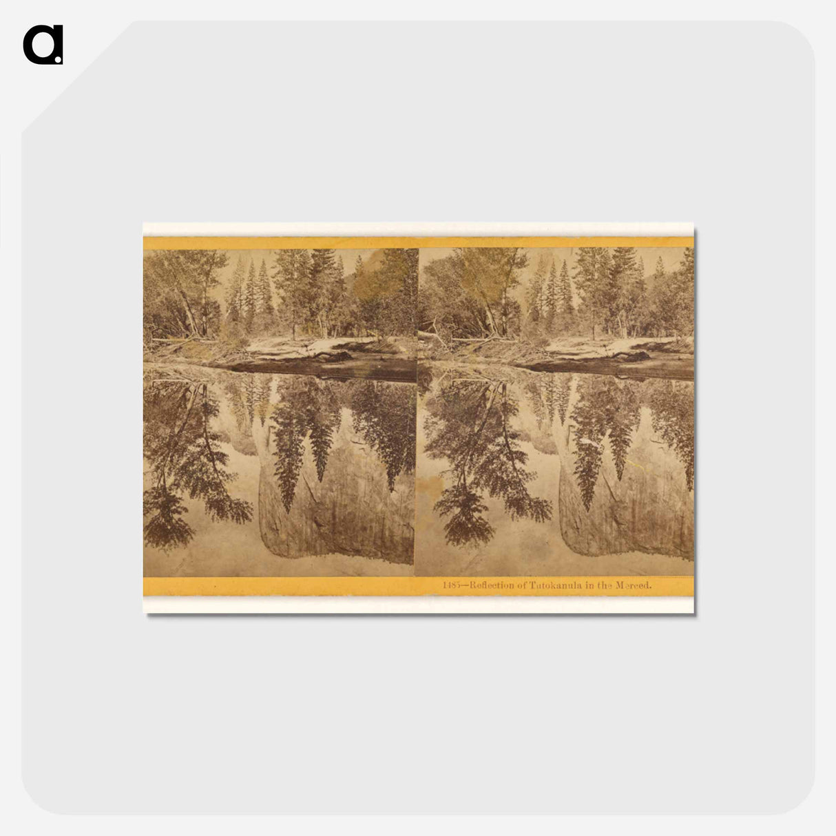 アートポストカード-Reflection of Tutokanula in the Merced
 - エドワード マイブリッジ Postcard.