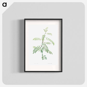 Indigo - ピエール ジョゼフ ルドゥーテ Poster.