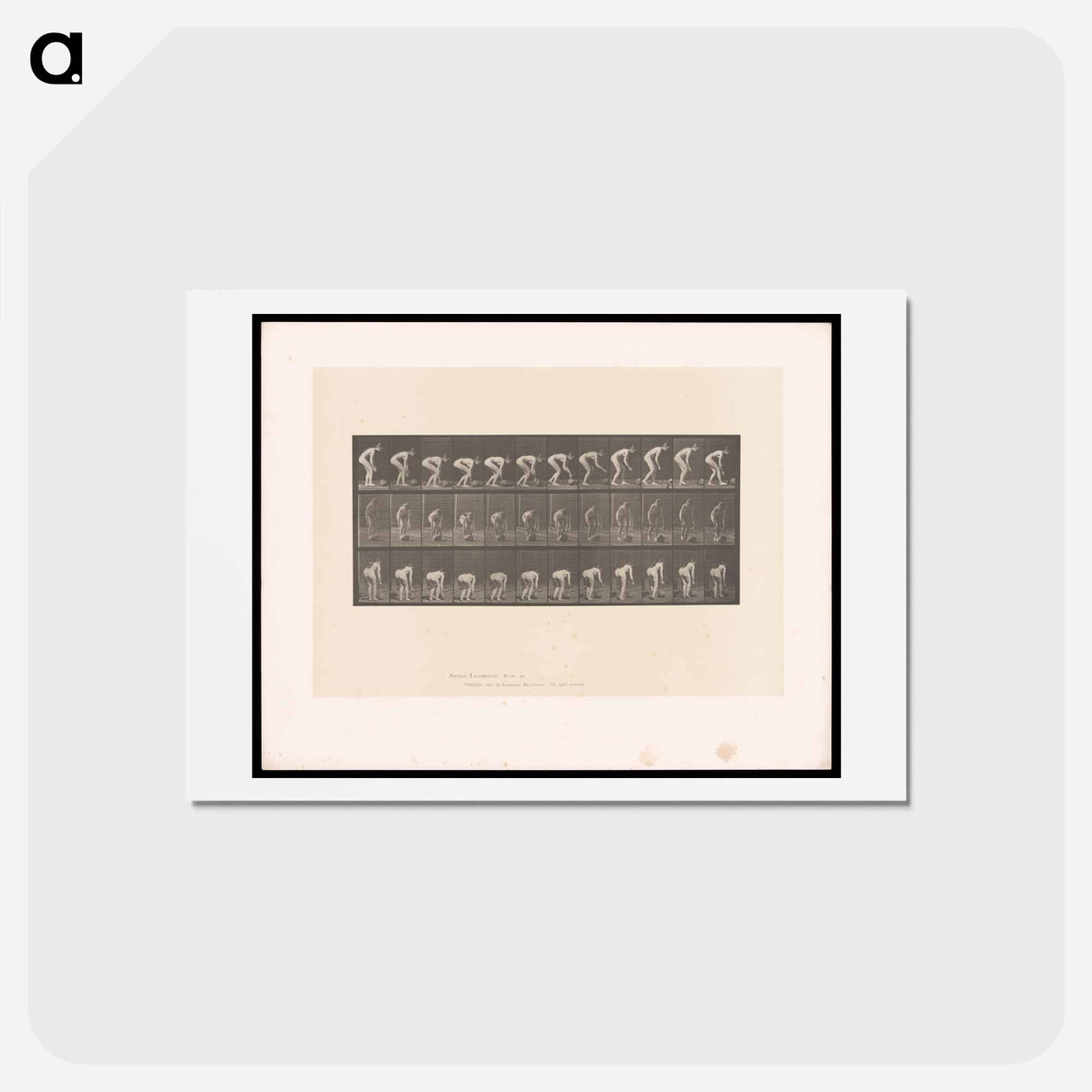 アートポストカード-Rolling Stone
 - エドワード マイブリッジ Postcard.