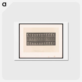 アートポストカード-Rolling Stone
 - エドワード マイブリッジ Postcard.