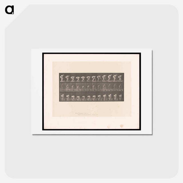 アートポストカード-Rolling Stone
 - エドワード マイブリッジ Postcard.