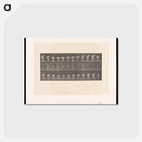 アートポストカード-Rolling Stone
 - エドワード マイブリッジ Postcard.
