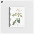 アートメモ帳-Big-Leaved Climbing Rose - ピエール ジョゼフ ルドゥーテ Memo.