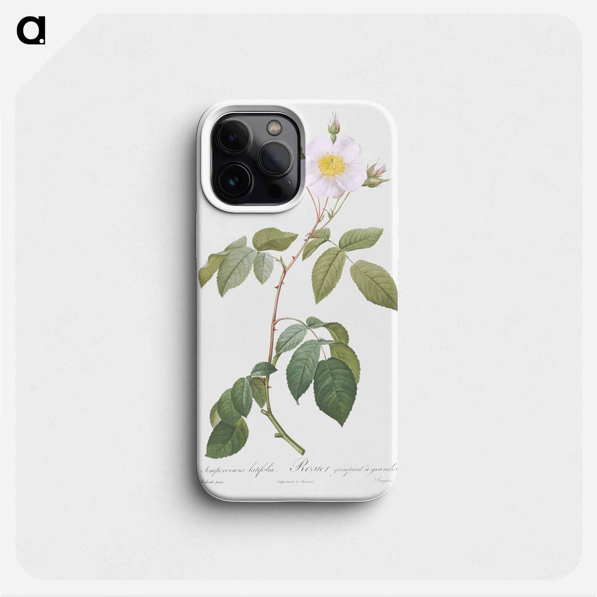 Big-Leaved Climbing Rose - ピエール ジョゼフ ルドゥーテ Phone Case.