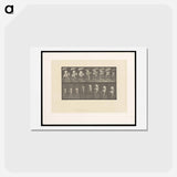 アートポストカード-Jumping the Hurdle
 - エドワード マイブリッジ Postcard.