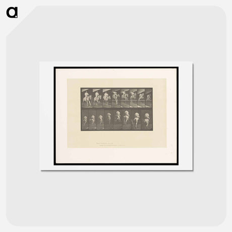 アートポストカード-Jumping the Hurdle
 - エドワード マイブリッジ Postcard.