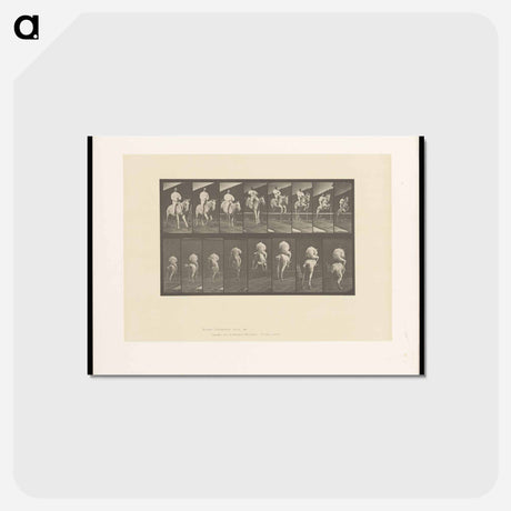 アートポストカード-Jumping the Hurdle
 - エドワード マイブリッジ Postcard.