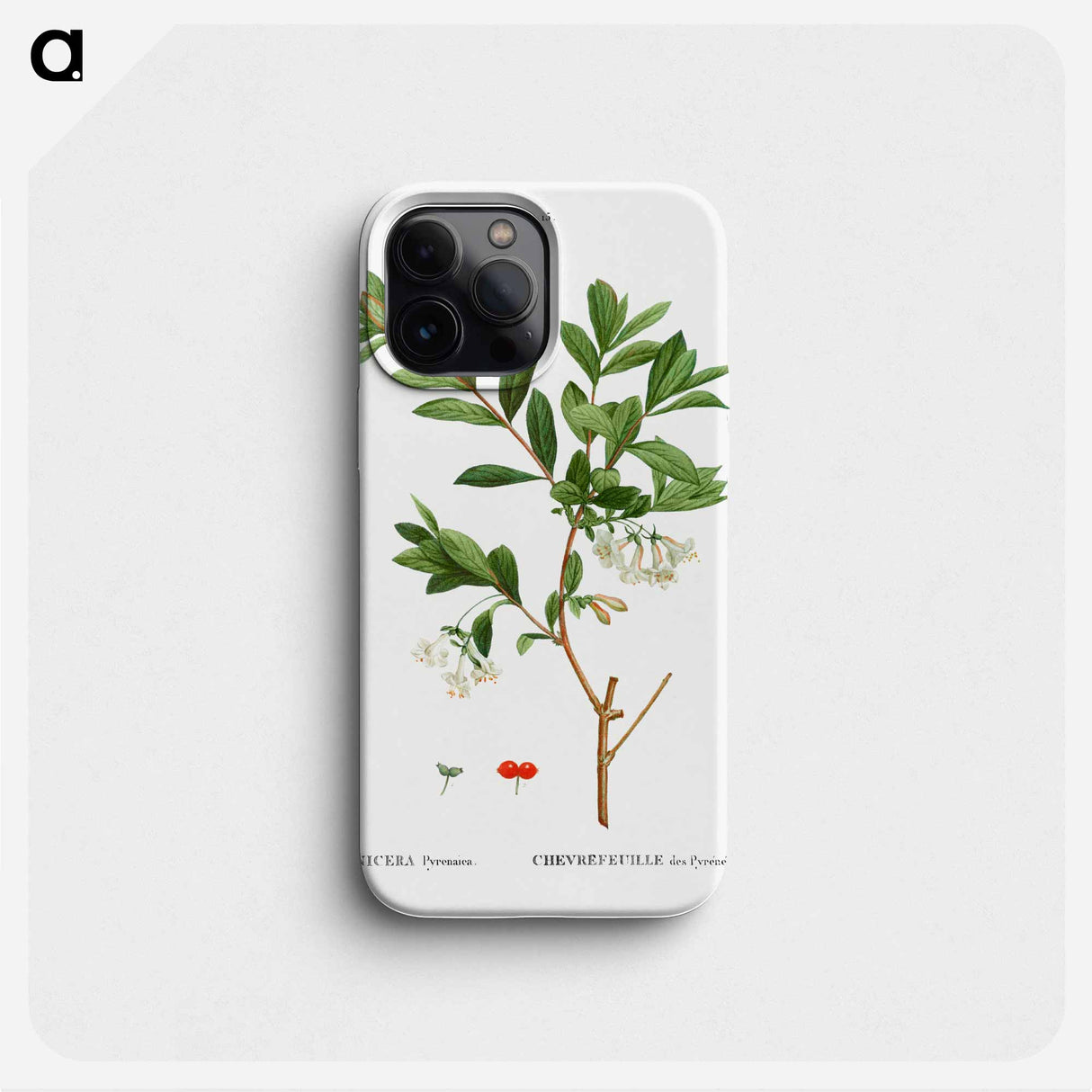 Lonicera Pyrenaica - Pierre Joseph Redouté Phone Case.