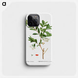 Lonicera Pyrenaica - Pierre Joseph Redouté Phone Case.