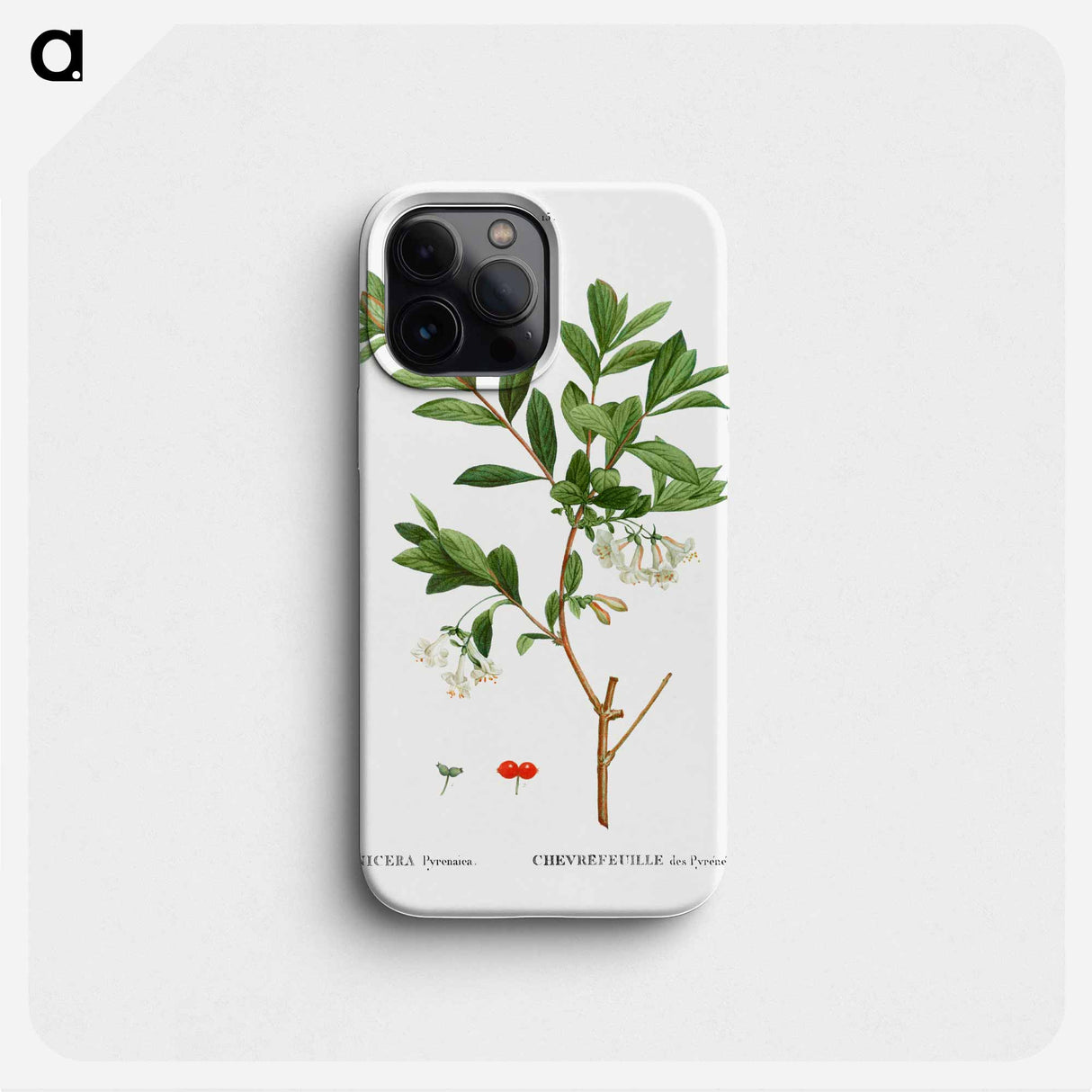 Lonicera Pyrenaica - ピエール ジョゼフ ルドゥーテ Phone Case.