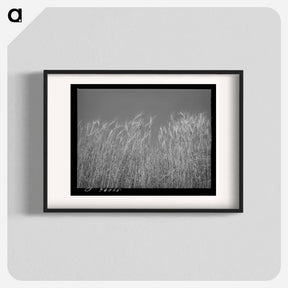 アートポスター-Ripe Wheat Field
 - ラッセル リー Poster.