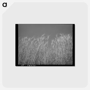 アートポストカード-Ripe Wheat Field
 - ラッセル リー Postcard.